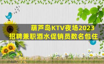 葫芦岛KTV夜场2023招聘兼职酒水促销员数名包住